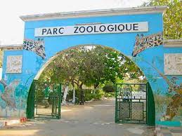 Parc zoologique de Hann : Une visiteuse « déchiquetée » par un singe