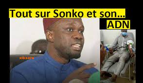 Sonko manipule sur l’ADN et ment : L’état a déjà son sang…