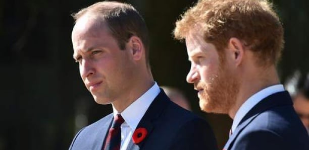 Harry règle ses comptes avec William; « C’était terrifiant de voir mon frère crier et hurler après moi”