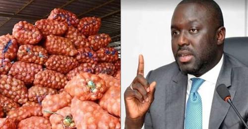 Approvisionnement Du Marché En Oignons : Abdou Karim Fofana Annonce L’arrivée De 14000 Tonnes Entre Le 11 Et Le 25 Août