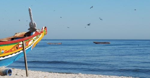 Maroc : 76 Migrants Sénégalais Attendus Ce Mercredi À Rosso