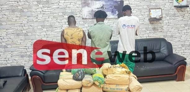 Keur Massar : 3 dealers dont 2 Guinéens arrêtés par la police de Jaxaay avec 86 kg de Yamba