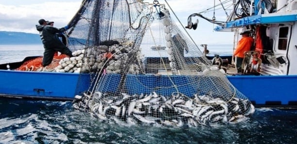 Partenariat avec l’UE: les accords de pêche s’achèvent en novembre