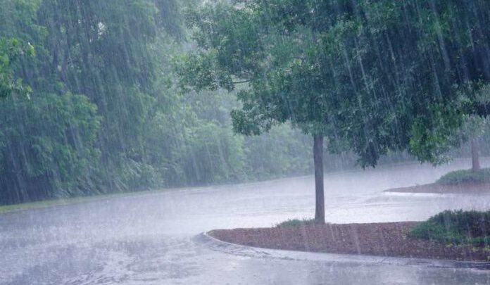 Météo : L’Anacim annonce l’arrivée d’orages et de pluie avec des vents forts dans plusieurs régions